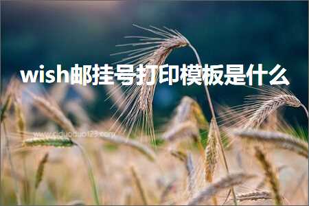 跨境电商知识:wish邮挂号打印模板是什么