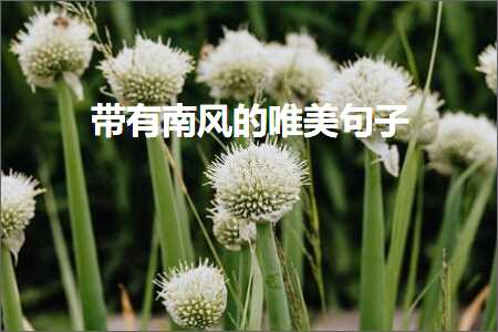 鍏充簬鑹烘湳鑺傜殑鍙ュ瓙鍞編锛堟枃妗?04鏉★級