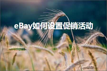 璺ㄥ鐢靛晢鐭ヨ瘑:eBay濡備綍璁剧疆淇冮攢娲诲姩