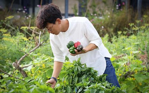 关于夏天游泳的唯美句子（文案321条）