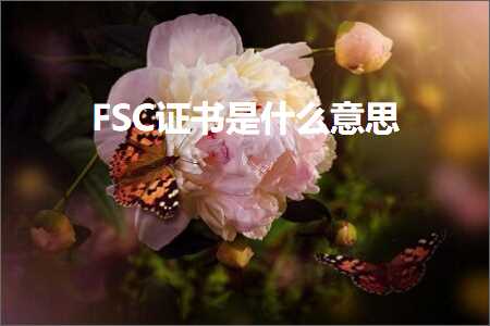 璺ㄥ鐢靛晢鐭ヨ瘑:FSC璇佷功鏄粈涔堟剰鎬? width=