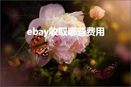 跨境电商知识:ebay收取哪些费用